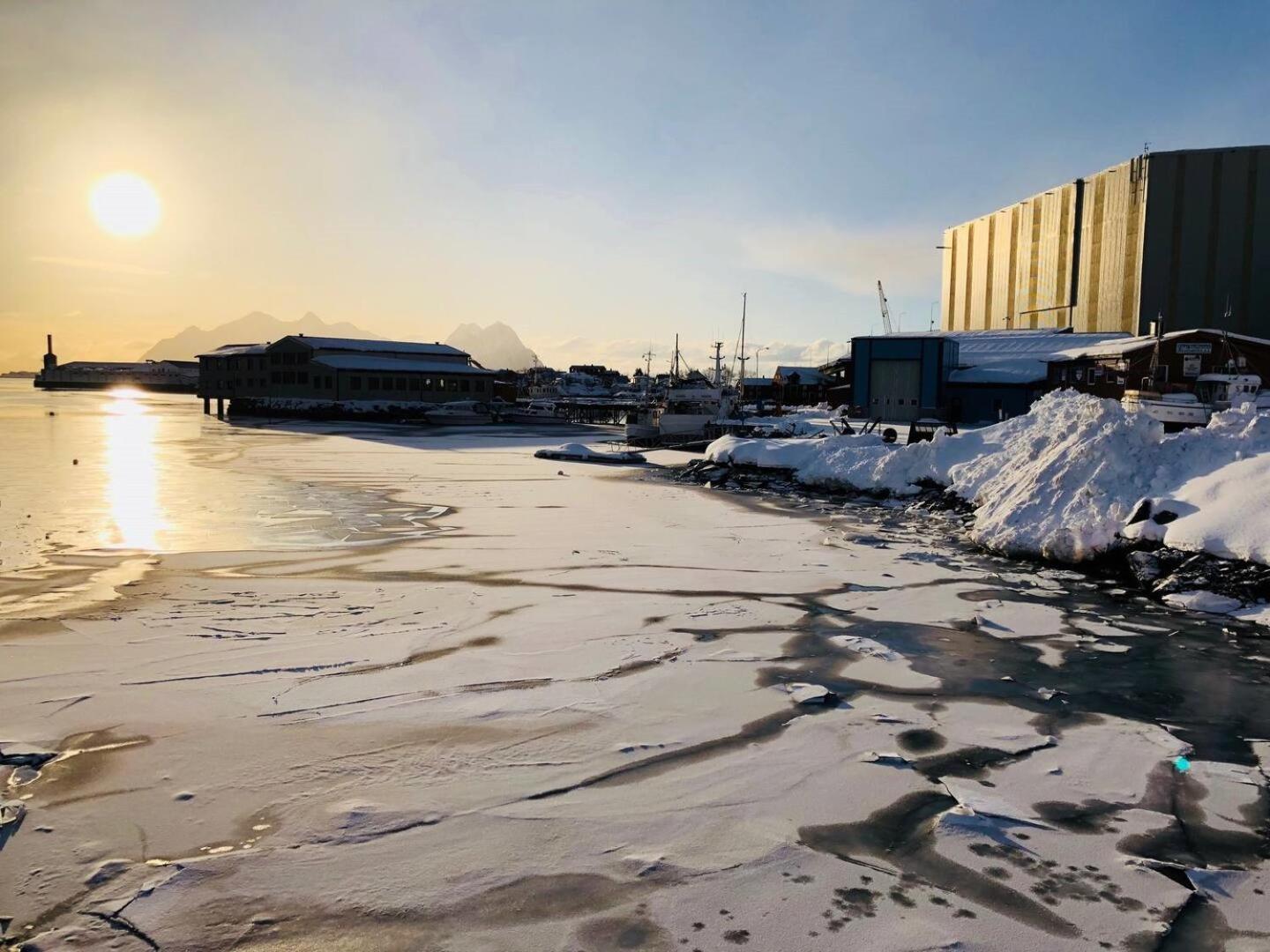 Nora'S Waterfront Cabin سفولفير المظهر الخارجي الصورة